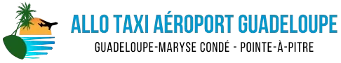 logo taxi aeroport guadeloupe martyse